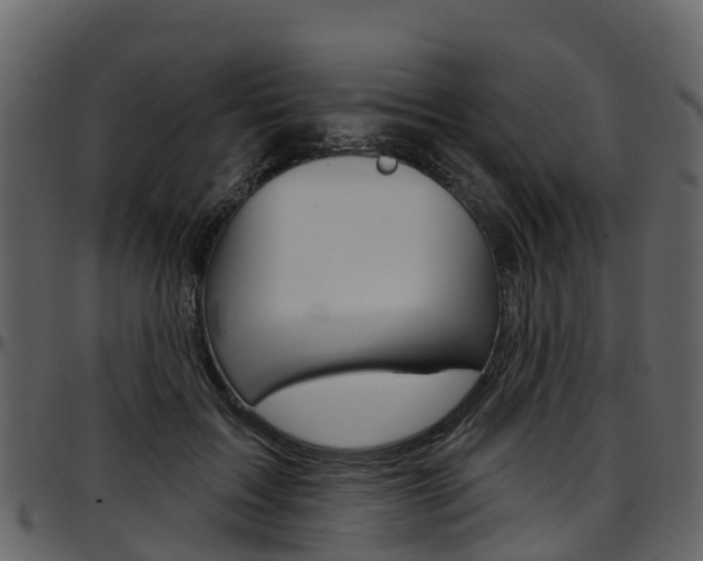 X0000097650603200802290848