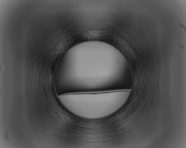 X0000097650604200802290848