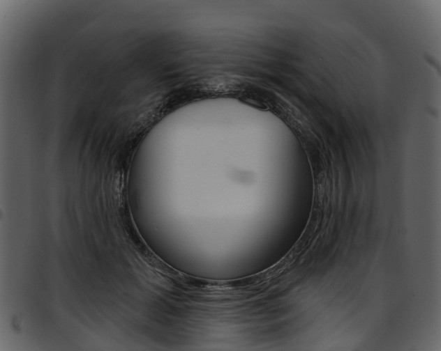 X0000097650605200802290848