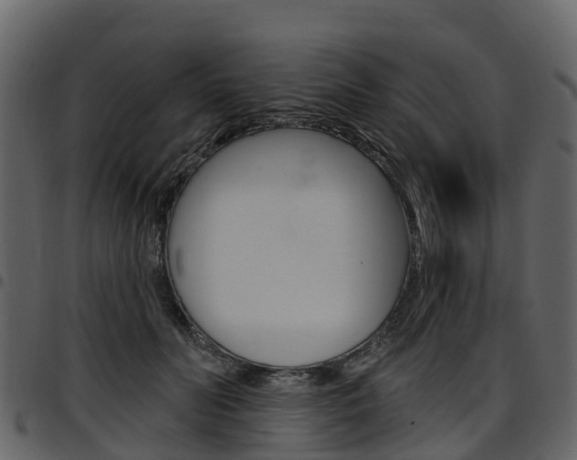 X0000097650606200802290848