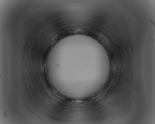 X0000097650607200802290848