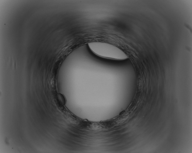 X0000097650608200802290848