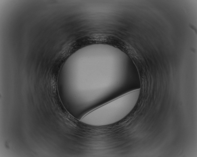 X0000097650609200802290848
