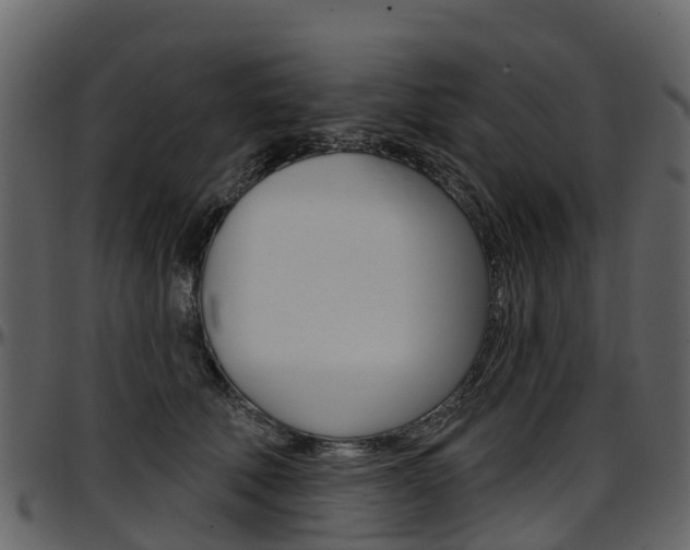 X0000097650610200802290848