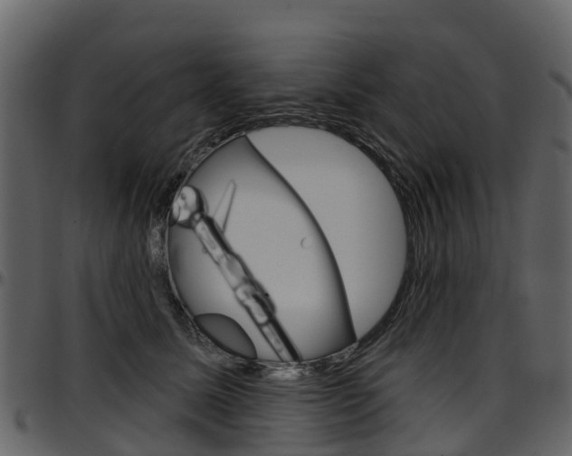 X0000097650611200802290848