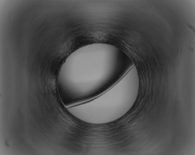 X0000097650613200802290848