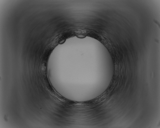 X0000097650614200802290848