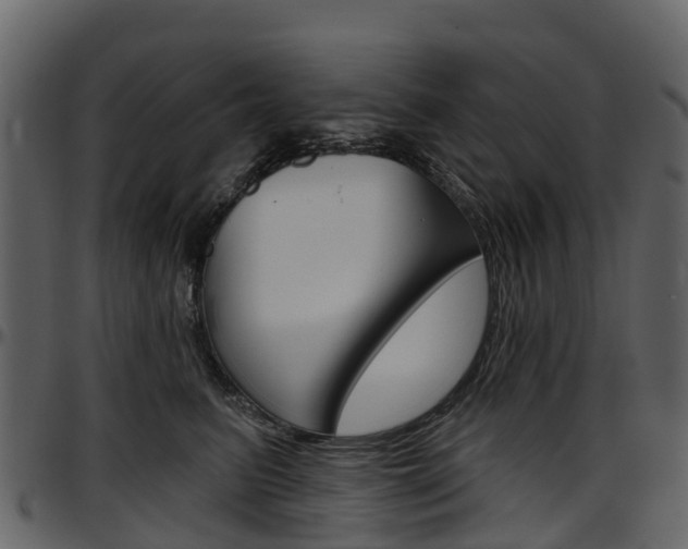 X0000097650615200802290848