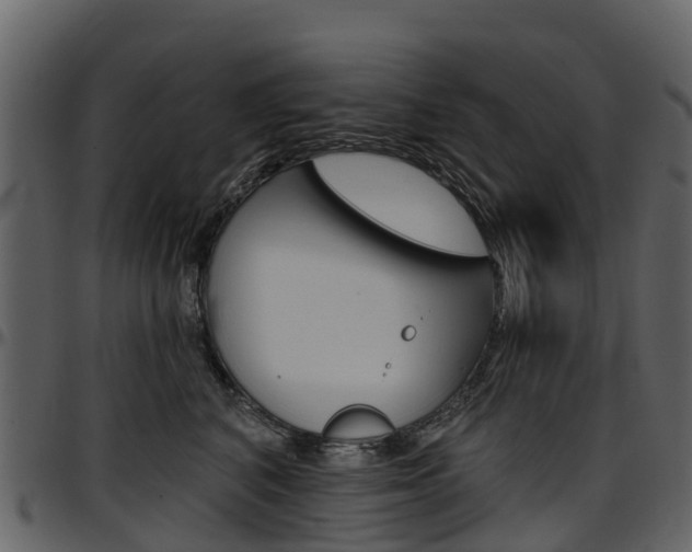 X0000097650616200802290848
