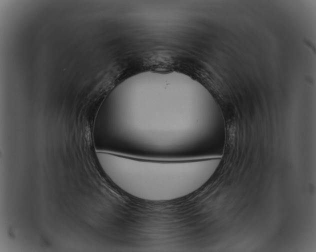 X0000097650617200802290848