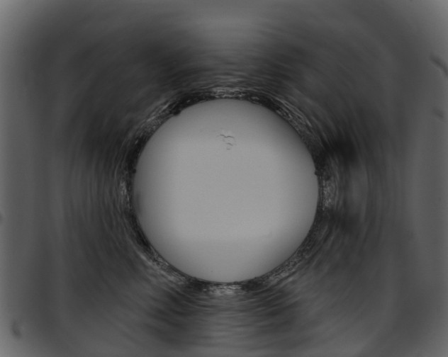 X0000097650618200802290848