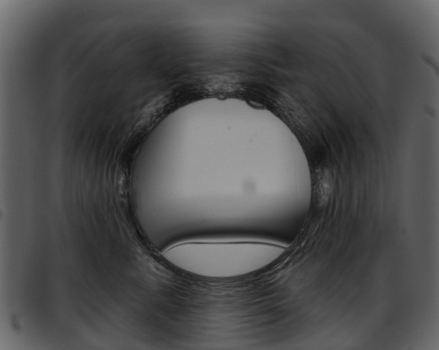 X0000097650619200802290848