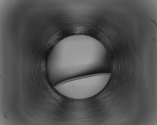 X0000097650620200802290848