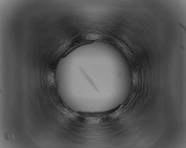 X0000097650621200802290848