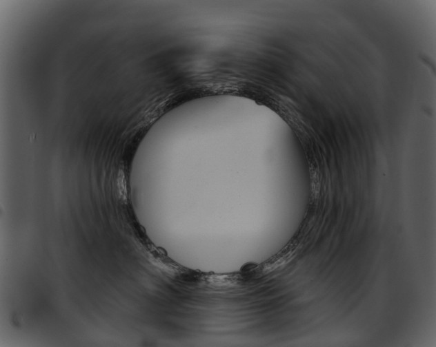 X0000097650622200802290848