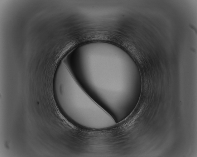 X0000097650625200802290847