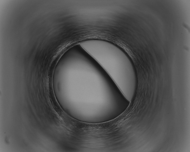 X0000097650626200802290847