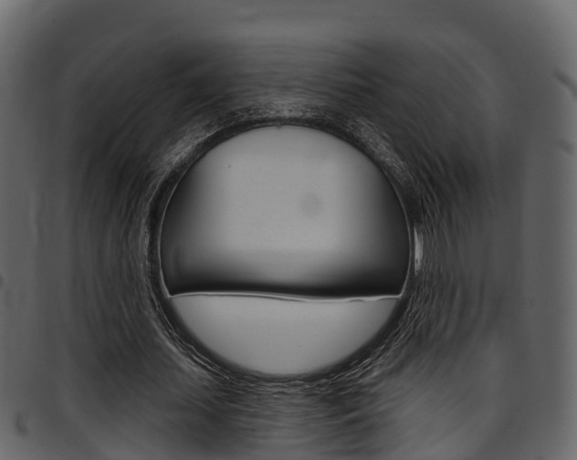 X0000097650627200802290847