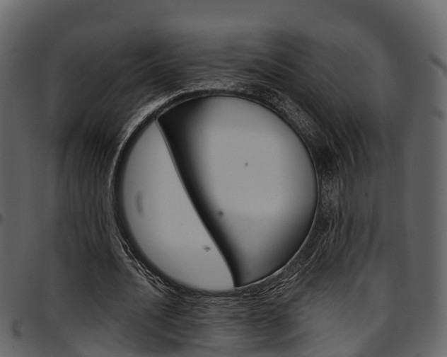 X0000097650628200802290847