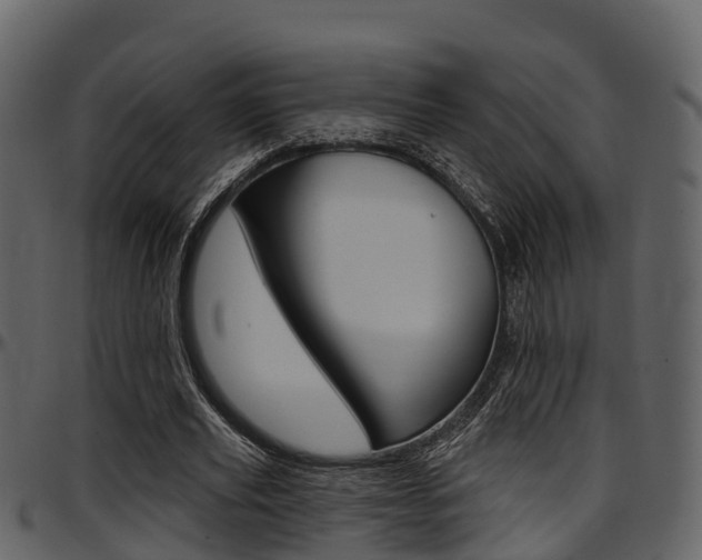 X0000097650629200802290847