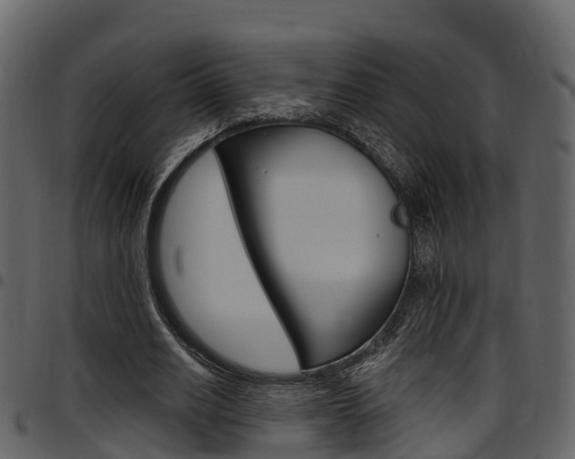 X0000097650630200802290847