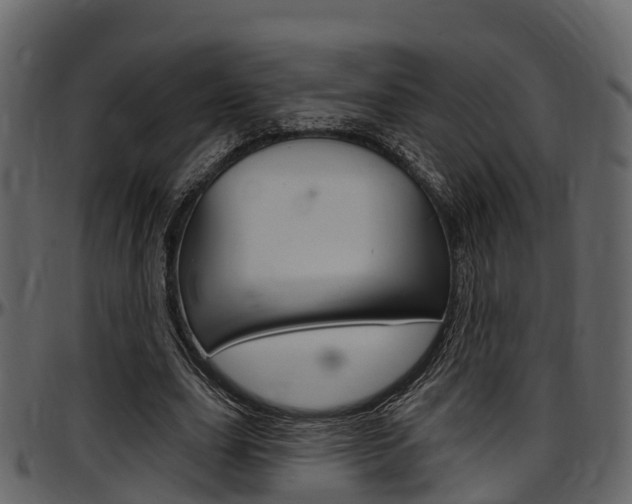 X0000097650631200802290847