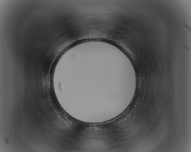 X0000097650632200802290847