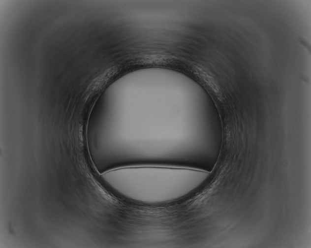 X0000097650633200802290847