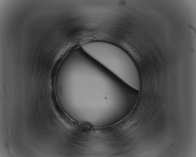 X0000097650634200802290847