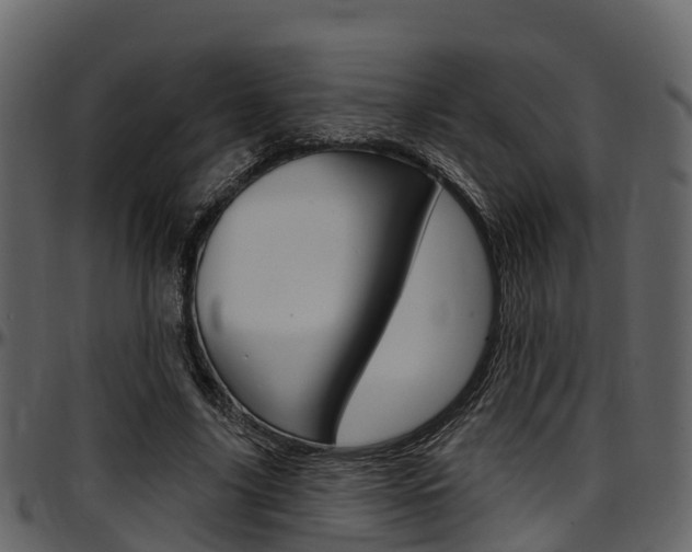 X0000097650635200802290847