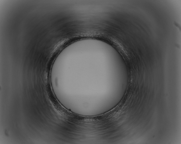 X0000097650636200802290847