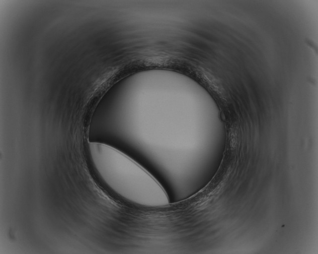 X0000097650637200802290847