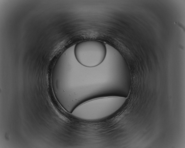 X0000097650638200802290847