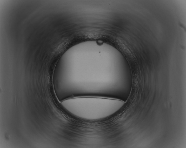 X0000097650639200802290847