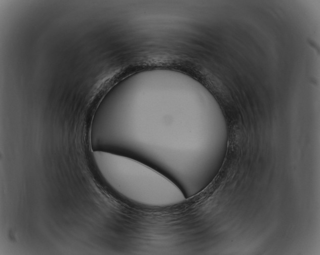 X0000097650640200802290847