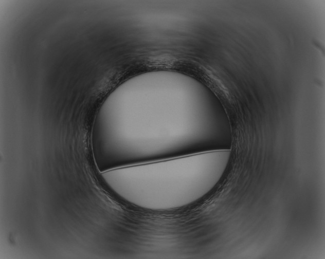 X0000097650641200802290847
