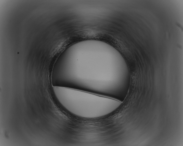 X0000097650642200802290847