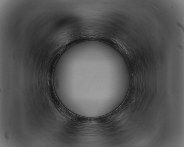 X0000097650643200802290847