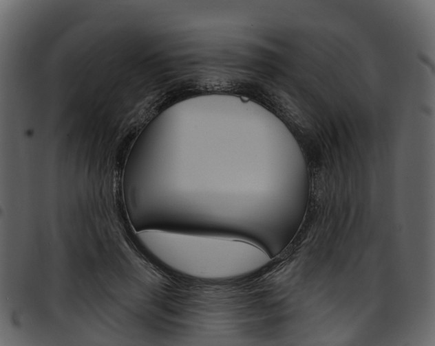 X0000097650645200802290847