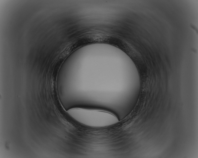 X0000097650646200802290847