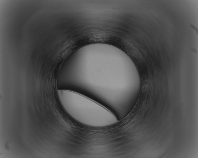X0000097650647200802290847