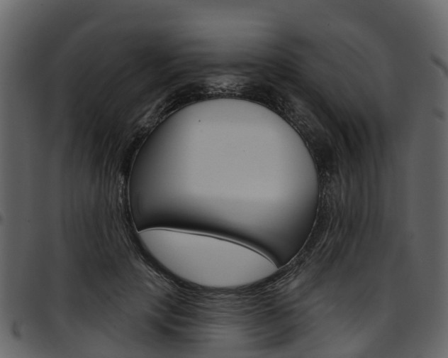 X0000097650649200802290847