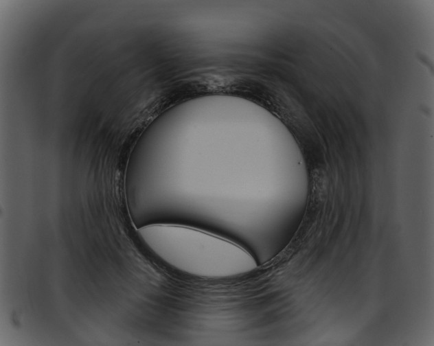 X0000097650650200802290847