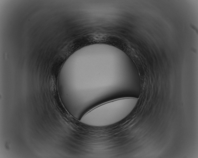 X0000097650651200802290847