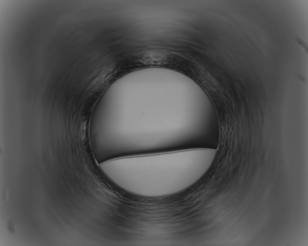 X0000097650652200802290847
