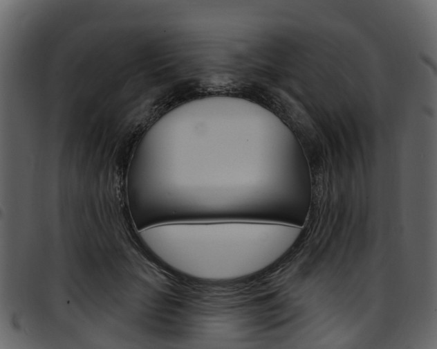 X0000097650653200802290847