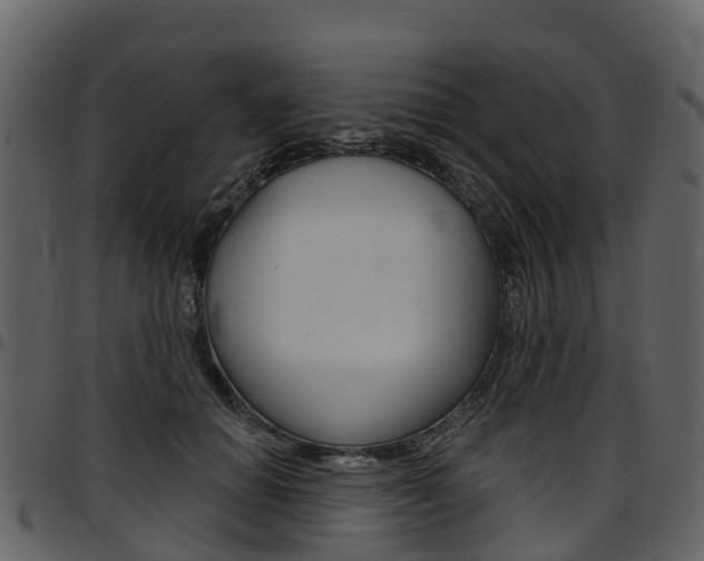 X0000097650654200802290847