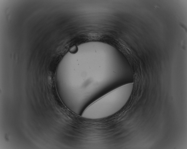 X0000097650655200802290847