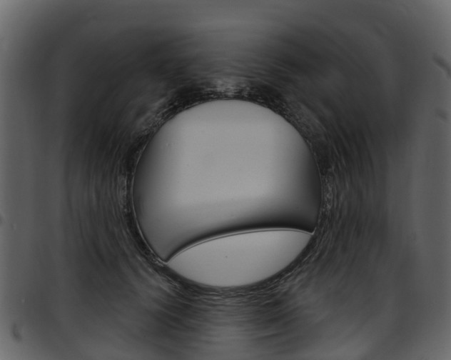 X0000097650656200802290847