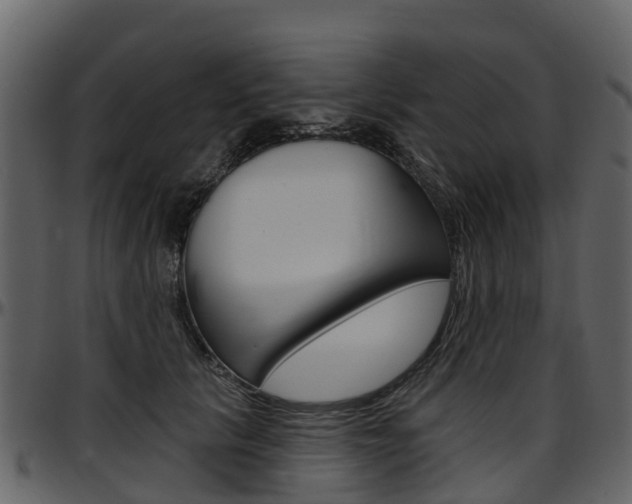 X0000097650657200802290847